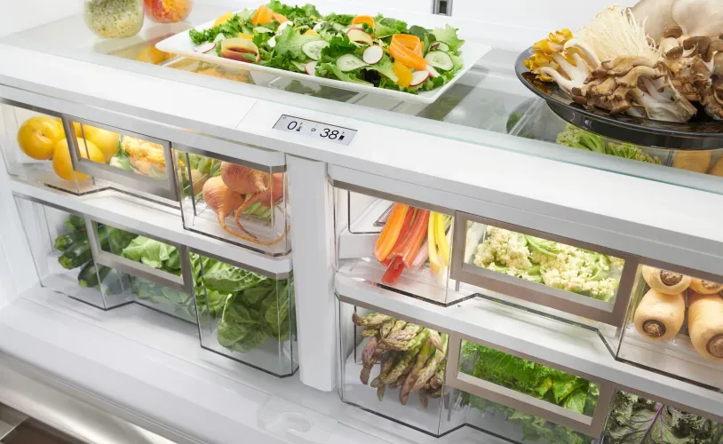 sub-zero-temp-control-refrigerator-interior